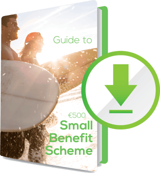 Download Small Benefit Guide
